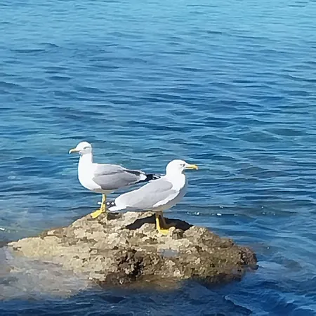 Hotel De Charme Cecil (Adults Only)