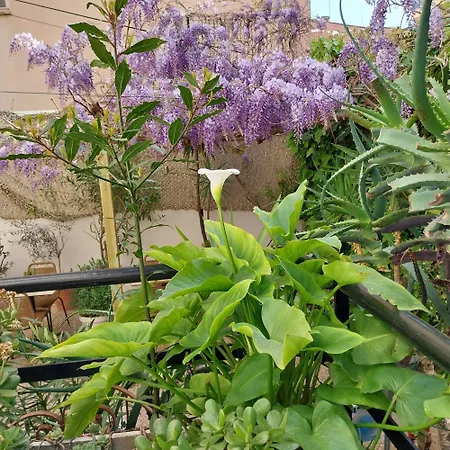 Hotel De Charme Cecil (Adults Only)