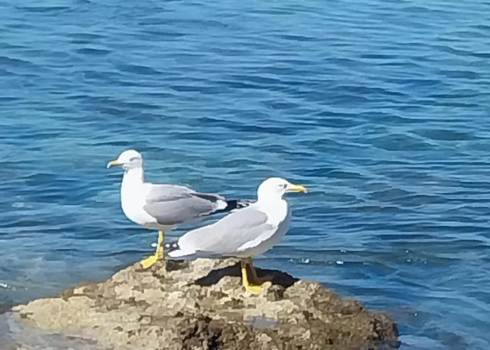 Hotel De Charme Cecil (Adults Only)