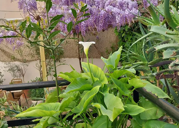 Hotel De Charme Cecil (Adults Only)